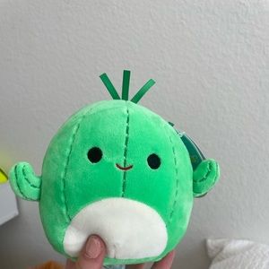 Boy Cactus squishmellow